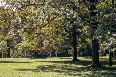 Tivoli Parkı, Ljubljana 'daki en büyük yeşil alan.