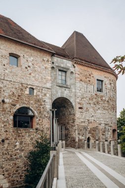 Ljubljana Şatosu, Slovenya 'nın başkenti Ljubljana şehir merkezindeki Castle Hill' de yer alan bir kale kompleksi..