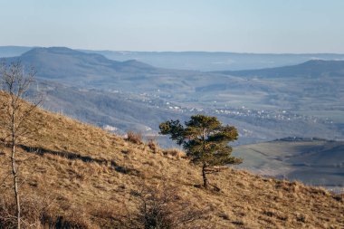 Landscape on Plateau de Gergovie near Clermont-Ferrand on a winter sunset clipart