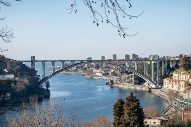 Kristal Saray 'dan Ponte da Arrabida Köprüsü (Jardins do Palacio de Cristal), Porto' da manzaralı bir park.