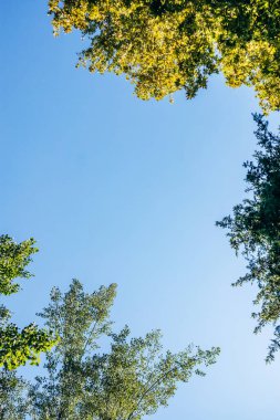 Tivoli Parkı, Ljubljana 'daki en büyük yeşil alan, şehrin kalbinde doğa, eğlence ve kültürel aktiviteler sunuyor.
