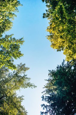 Tivoli Parkı, Ljubljana 'daki en büyük yeşil alan, şehrin kalbinde doğa, eğlence ve kültürel aktiviteler sunuyor.
