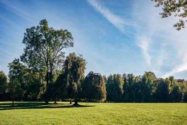 Tivoli Parkı, Ljubljana 'daki en büyük yeşil alan, şehrin kalbinde doğa, eğlence ve kültürel aktiviteler sunuyor.