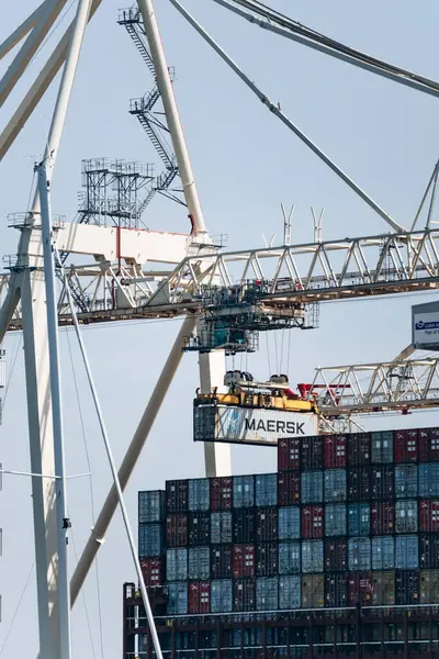 Koper, Slovenya - 16 Ağustos 2024: Koper Limanında kargo konteynerleri gün boyunca yükleniyor