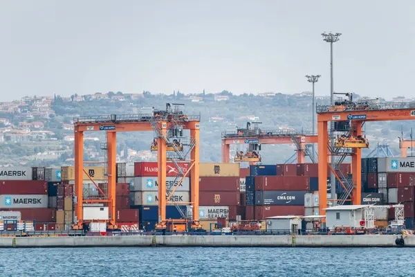 Koper, Slovenya - 16 Ağustos 2024: Koper Limanı 'nın kargo konteynırlarıyla görüntülenmesi