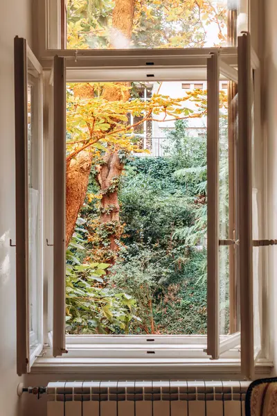 Şehir merkezindeki bir apartman penceresinden sakin bir bahçeye bakan, kentsel yaşamı geliştiren.