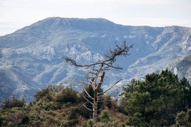 Menton 'un üzerindeki dağların manzarası, Fransa-İtalya sınırında, yerel güney doğası ile Ocak ayında