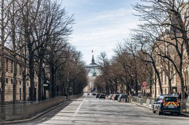 Paris, Fransa - 23 Şubat 2025: Arka planda Grand Palais görüldü, Fransız bayrağıyla kaplanmış kubbeli çatı, klasik Paris binaları ve park halindeki arabalarla ağaçlarla çevrili bir caddeyi görüyor