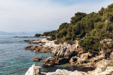 Sainte-Marguerite Adası 'nın manzaralı kıyı manzaraları. Çam ağaçları, kayalık kıyılar ve turkuaz deniz..