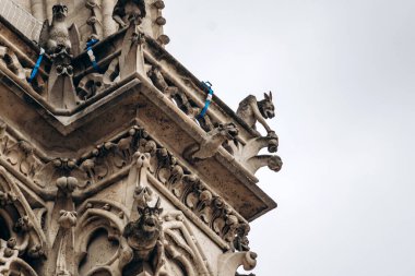 Paris, Fransa - 10 Eylül 2025: Notre Dame Katedrali ön cephesinde Gargoyles ve chimera.