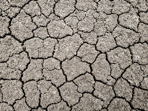 Cracked dry ground texture. Dry ground background
