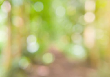 Nature blur background in forest with bokeh particles