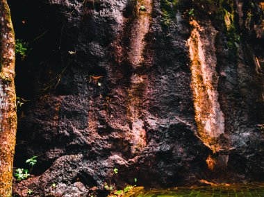 texture of the side of a mountain cliff and overgrown with grass. Hill cliff stone texture background 
