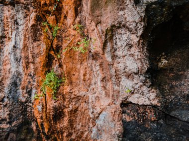 texture of the side of a mountain cliff and overgrown with grass. Hill cliff stone texture background 