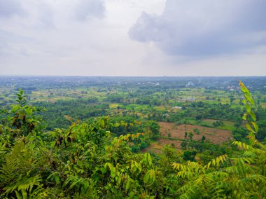 Foggy sky and view from the top of the hill. View of the fields seen from the top of the hill