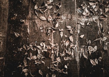 Dirty wooden floor covered with dry leaves in old abandoned house .