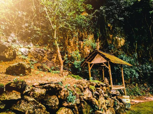 View of traditional wooden hut in the forest
