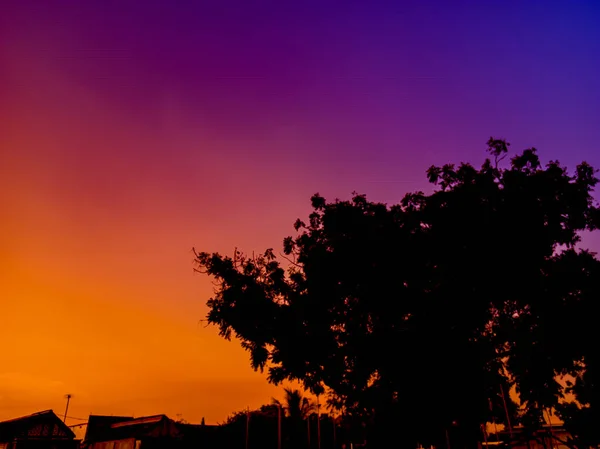 Panoramablick Auf Den Sonnenuntergangshimmel Goldenem Orange Und Violett Mit Baumsilhouetten — Stockfoto