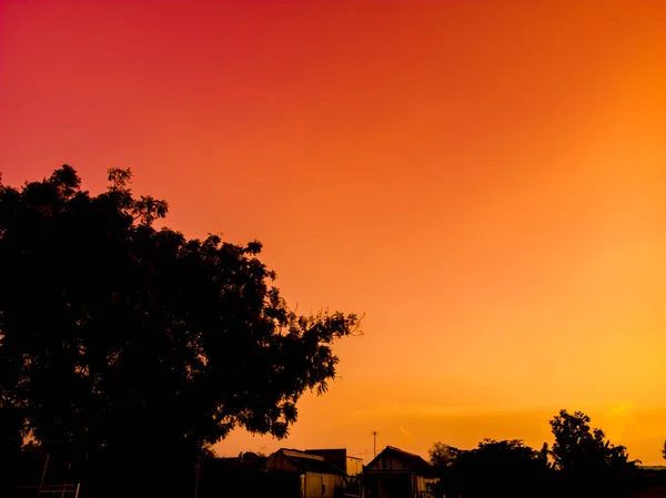 Vacker Panorama Gyllene Orange Solnedgång Himmel Med Träd Silhuetter — Stockfoto
