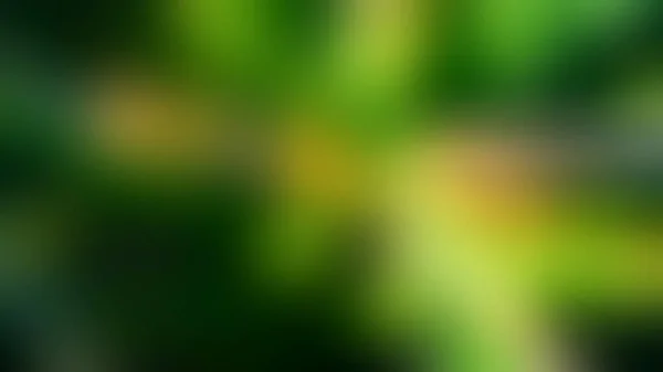 Blurred Foliage Abstract Background Dark Green Color Nature Background Template — Stock Photo, Image