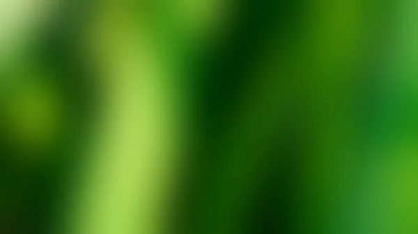 Blurred Foliage Abstract Background Dark Green Color Nature Background Template — Stock Photo, Image