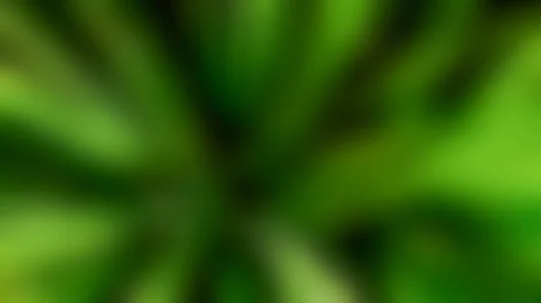 Verschwommenes Laub Abstrakter Hintergrund Dunkelgrüne Farbe Natur Hintergrund Für Vorlage — Stockfoto