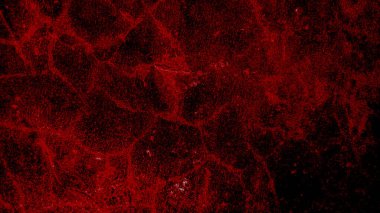 Cadılar Bayramı arka planı için çatlamış beton duvar dokusu. ve ürpertici