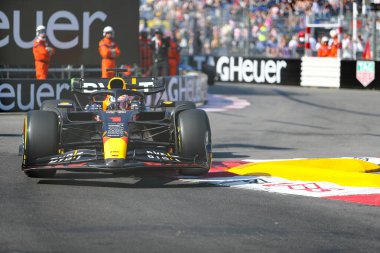  Max Verstappen (NED) Redbull Racing RB1