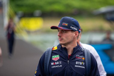  Max Verstappen (NED) Redbull Racing RB1