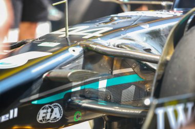  Mercedes-AMG Petronas F1 Çayı