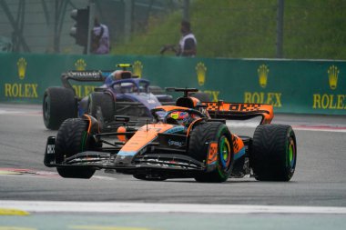 Oscar Piastri (aus) McLaren F1 Çayı