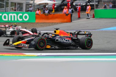  Max Verstappen (NED) Redbull Racing RB1