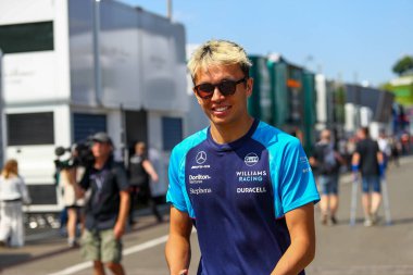  Alexander Albon (IND) Williams FW4