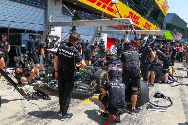  Mercedes-AMG Petronas F1 Çayı