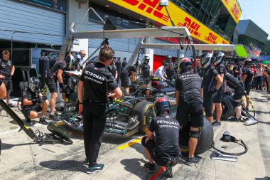  Mercedes-AMG Petronas F1 Çayı