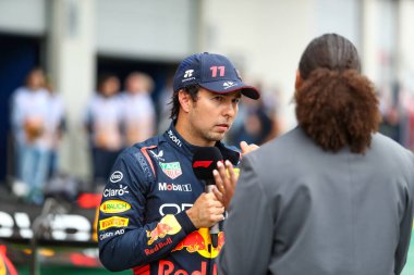  Sergio Perez (MEX) Redbull Racing RB1