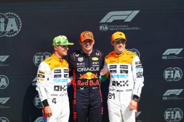  McLaren F1 Takım burnu