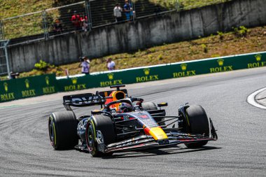  Max Verstappen (NED) Redbull Racing RB1