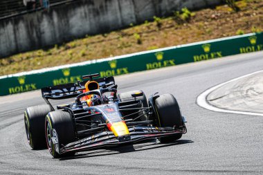  Max Verstappen (NED) Redbull Racing RB1