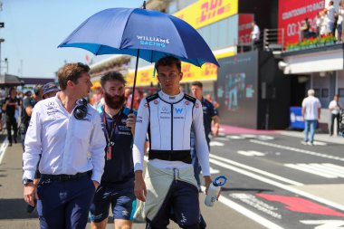  Alexander Albon (IND) Williams FW4