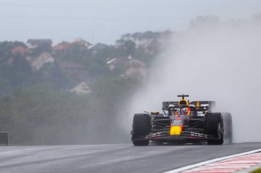  Max Verstappen (NED) Redbull Racing RB19