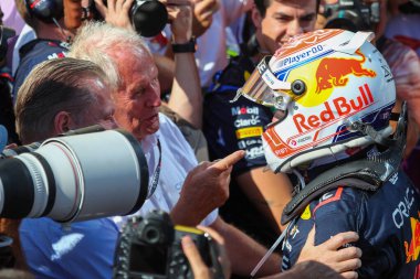  Max Verstappen (NED) Redbull Racing RB1