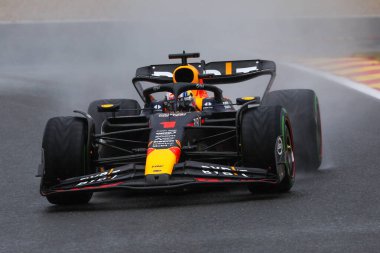  Max Verstappen (NED) Redbull Racing RB1