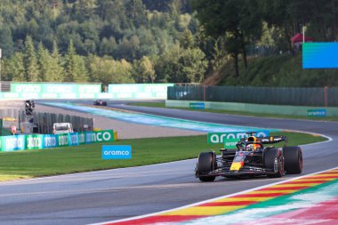  Max Verstappen (NED) Redbull Racing RB1