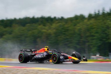  Sergio Perez (MEX) Redbull Racing RB1