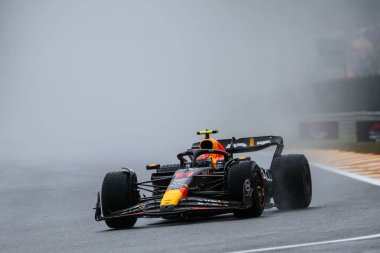  Sergio Perez (MEX) Redbull Racing RB1