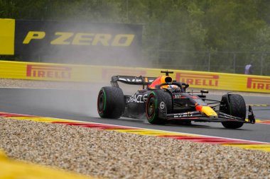  Max Verstappen (NED) Redbull Racing RB1