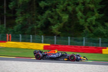  Sergio Perez (MEX) Redbull Racing RB1