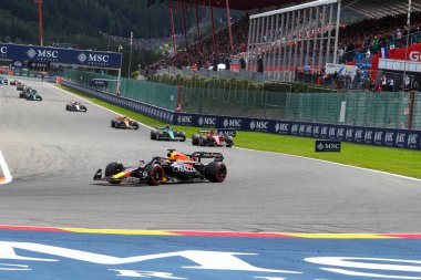  Max Verstappen (NED) Redbull Racing RB1