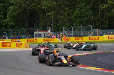  Max Verstappen (NED) Redbull Racing RB1